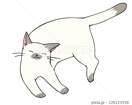 ポインテッド リラックス 126123558
