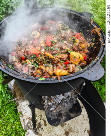Delicious beef stew cooking in a large pot over an outdoor fire surrounded by greenery during a sunny day 126123569