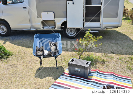 愛犬とオートキャンプ チワワ キャンピングカー 愛犬とオートキャンプ チワワ キャンピングカー 126124359