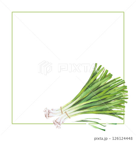 Watercolor illustration of vegetables. Hand-drawn set from isolated clip art on a white background. Bright and juicy pictures of realistic watercolor vegetables for menus, signs, packaging, textiles Watercolor illustration of vegetables. Hand-drawn set from isolated clip art on a white background. Bright and juicy pictures of realistic watercolor vegetables for menus, signs, packaging, textiles 126124448