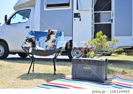 愛犬とオートキャンプ チワワ キャンピングカー 愛犬とオートキャンプ チワワ キャンピングカー 126124493