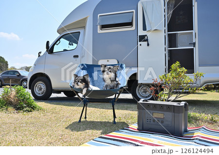 愛犬とオートキャンプ チワワ キャンピングカー 愛犬とオートキャンプ チワワ キャンピングカー 126124494