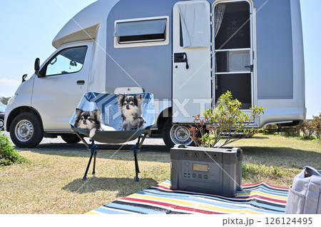 愛犬とオートキャンプ　チワワ　キャンピングカー 126124495