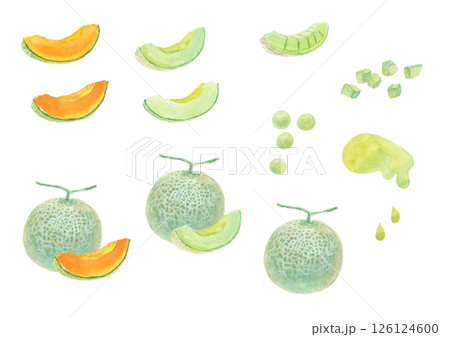水彩絵の具で描いたメロンのイメージセット 126124600