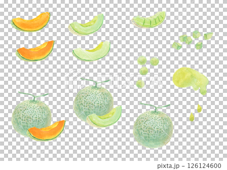水彩絵の具で描いたメロンのイメージセット 126124600