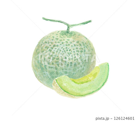 水彩絵の具で描いたメロンのイメージ 126124601