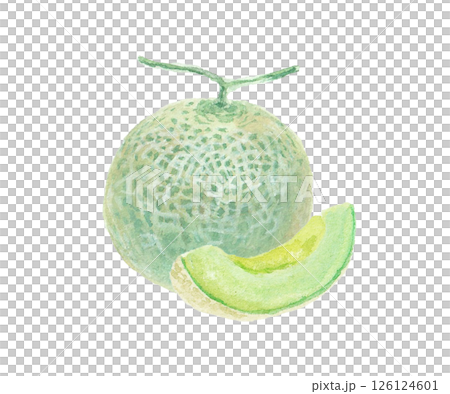 水彩絵の具で描いたメロンのイメージ 126124601