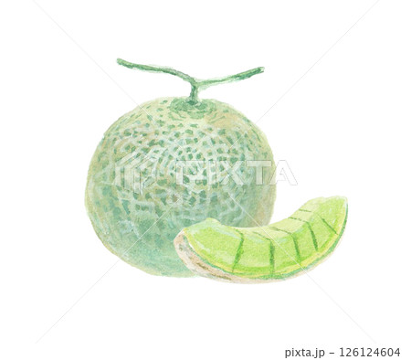 水彩絵の具で描いたメロンのイメージ 水彩絵の具で描いたメロンのイメージ 126124604