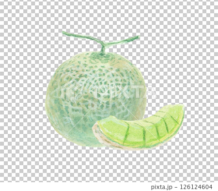 水彩絵の具で描いたメロンのイメージ 水彩絵の具で描いたメロンのイメージ 126124604