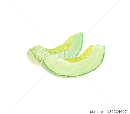 水彩絵の具で描いたメロンのイメージ 126124607
