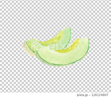 水彩絵の具で描いたメロンのイメージ 126124607