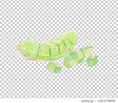 水彩絵の具で描いたメロンのイメージ 126124609