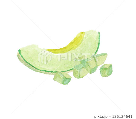 水彩絵の具で描いたメロンのイメージ 水彩絵の具で描いたメロンのイメージ 126124641