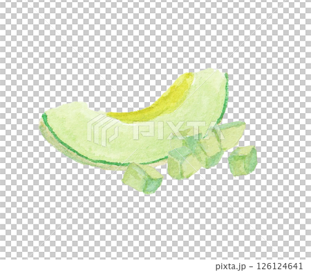 水彩絵の具で描いたメロンのイメージ 水彩絵の具で描いたメロンのイメージ 126124641
