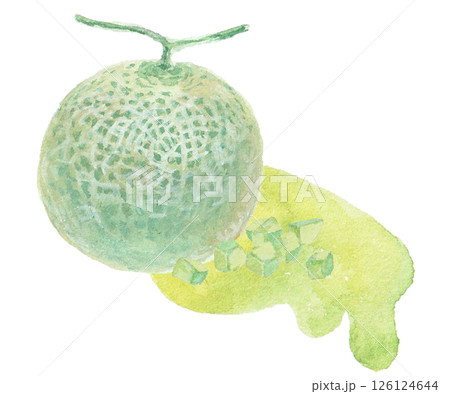 水彩絵の具で描いたメロンのイメージ 126124644