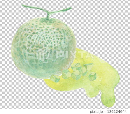 水彩絵の具で描いたメロンのイメージ 126124644