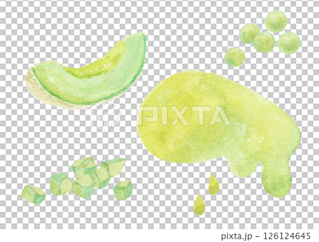 水彩絵の具で描いたメロンのイメージ 126124645
