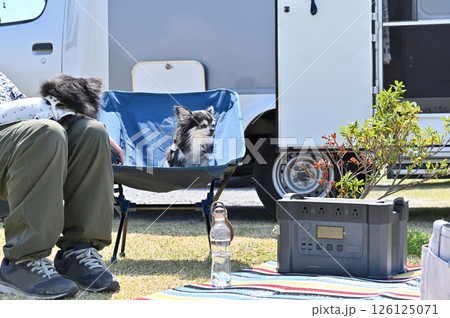 愛犬とオートキャンプを楽しむ男性 チワワ キャンピングカー 愛犬とオートキャンプを楽しむ男性 チワワ キャンピングカー 126125071