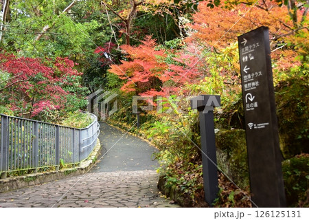 湯河原町　万葉公園湯河原惣湯の散策路と紅葉と道案内 126125131