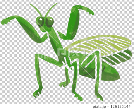 簡單的螳螂向量圖 簡單的螳螂向量圖 126125144