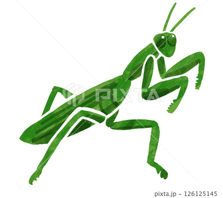 シンプルなカマキリのベクターイラスト 126125145