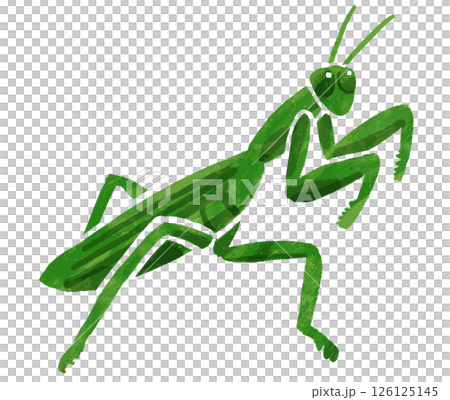 簡單的螳螂向量圖 簡單的螳螂向量圖 126125145