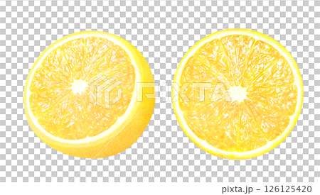 手繪插圖集切片檸檬_水彩_新鮮柑橘類水果 手繪插圖集切片檸檬_水彩_新鮮柑橘類水果 126125420