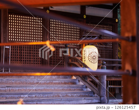 金沢市の観光名所尾山神社の夜の風景 金沢市の観光名所尾山神社の夜の風景 126125457