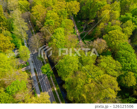 Aerial view of a lush green forest with a road cutting through it, lined with tall trees. A bicycle path and a walking trail are visible, creating a peaceful and scenic natural landscape. Aerial view of a lush green forest with a road cutting through it, lined with tall trees. A bicycle path and a walking trail are visible, creating a peaceful and scenic natural landscape. 126125506