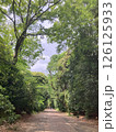 新緑に包まれた林道 126125933