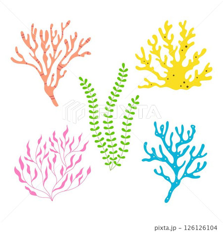 seaweed and coral set isolated 126126104