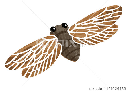 シンプルなセミのベクターイラスト シンプルなセミのベクターイラスト 126126386