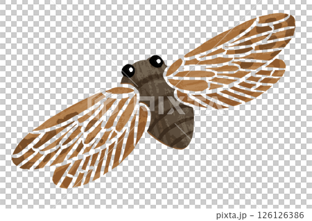 シンプルなセミのベクターイラスト シンプルなセミのベクターイラスト 126126386