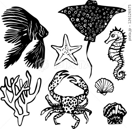 Vector hand drawn composition with sea creatures. Set of silhouettes and outline illustrations Vector hand drawn composition with sea creatures. Set of silhouettes and outline illustrations 126126975
