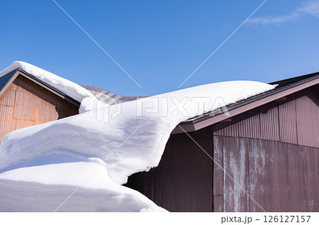 屋根に乗って落ち始めている雪 屋根に乗って落ち始めている雪 126127157