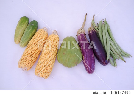a neatly arranged assortment of fresh vegetables on a white background 126127490