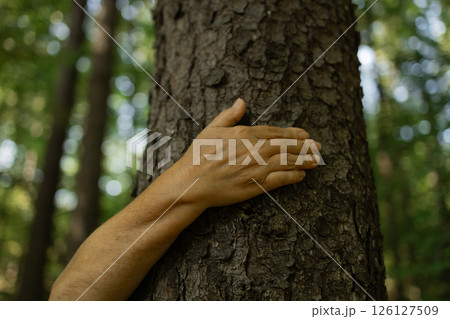 Single Human Hand Touching Tree Trunk in Forest Showing Connection with Nature and Environmental Respect 126127509