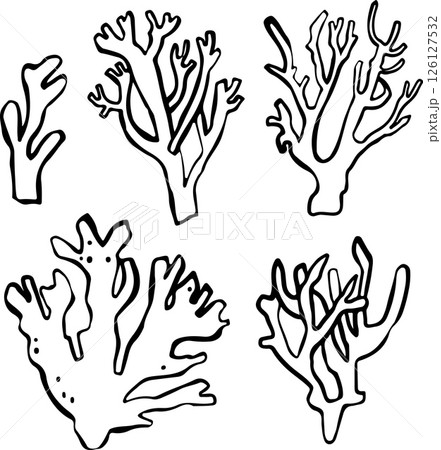 set of hand-drawn vector doodles with various corals 126127532