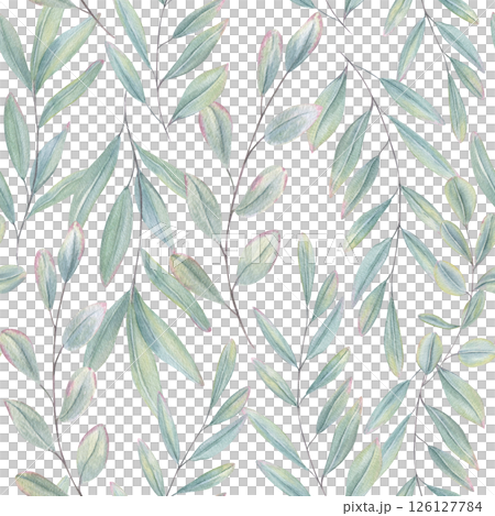 Watercolor lush leaf eucalyptus or olive branch illustration isolated background. Blue green leaves with pink edges. Floral element for wedding bouquet, spa greeting cards, organic beauty products 126127784