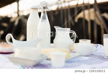 Dairy products on table against the background of herd of cows in barn Dairy products on table against the background of herd of cows in barn 126128011