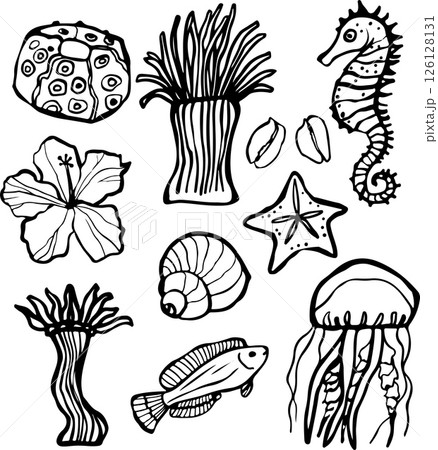 Vector doodle composition on a marine theme. Shells, seahorse, hydras, fish, jellyfish Vector doodle composition on a marine theme. Shells, seahorse, hydras, fish, jellyfish 126128131
