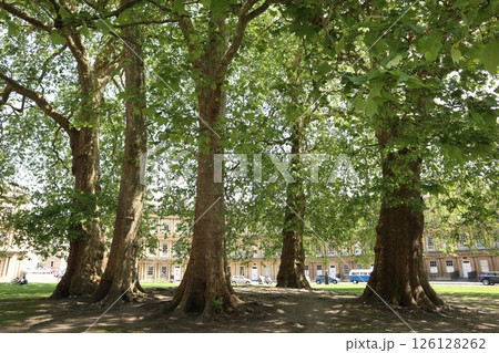 イギリス・バースのザ・サーカス 126128262