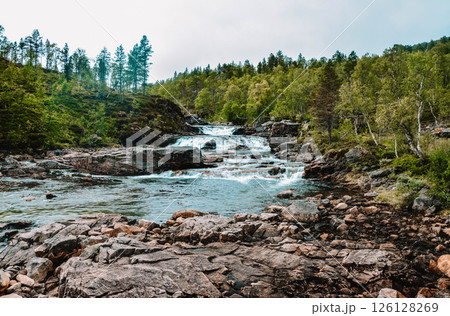 Mountain river with rocks and waterfalls in the forest in Norway 126128269