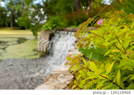 A beautiful waterfall in the park 126128408