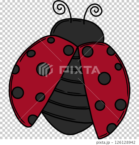 Ladybug 126128942