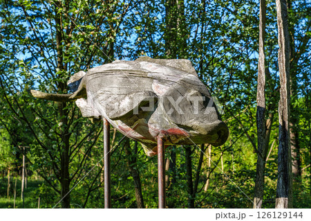 Asia garden in the World Forest, Weltwald in Freising near Munich in Bavaria, Germany. 126129144