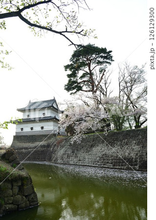 春の新発田城と桜（新潟県） 126129300