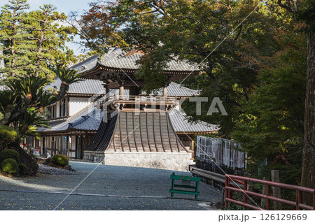 新緑に包まれた浜松市の方広寺の風景(静岡県) 126129669