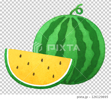手描きの可愛い黄色いスイカのイラスト 126129695