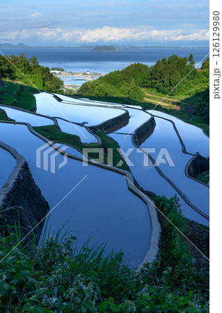 谷水棚田 長崎県南島原市 谷水棚田 長崎県南島原市 126129980